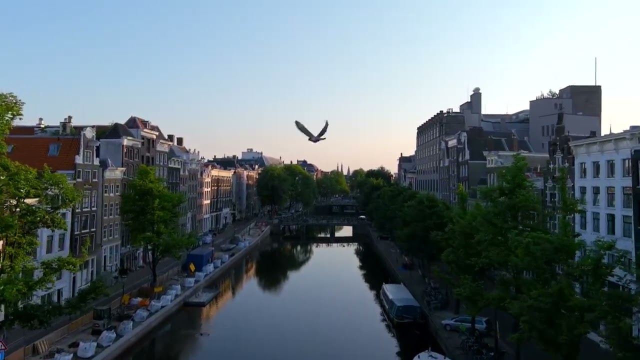 LUCKYKAT - Talkoot [Katnap] | High Contrast music