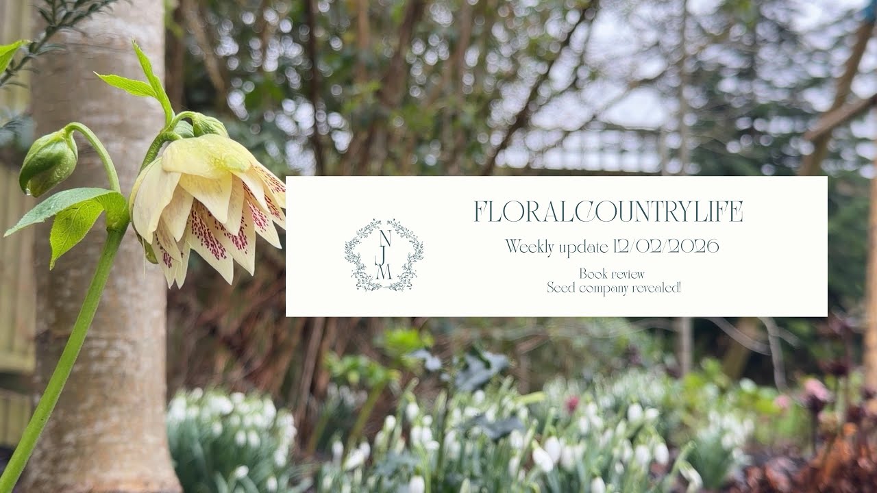 Late Winter Garden Update: Cutting Back Foliage, Revealing Daffodils & My Seed Restock