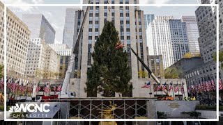 Rockefeller Center Christmas Tree arrives in New York City