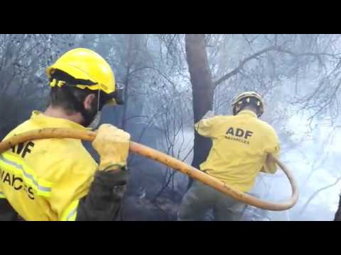 Vídeo: Com Treure Foc