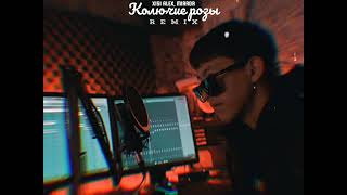 Xisi Alex, Mirror - Колючие розы (Remix) (official music audio)