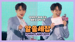 [CARATLAND 2019] 190308-09 SVT 3rd Fan Meeting SEVENTEEN in CARAT LAND - TMI Talk MINGYU MOMENT