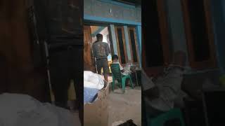 Viral Kupang || Tiara