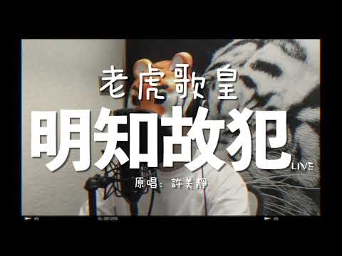 老虎歌皇《明知故犯》Live cover