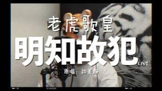 老虎歌皇《明知故犯》Live cover