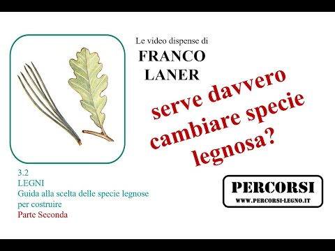 Video: Specie Legnose: Cosa Sono Le Latifoglie E Quali Quelle Scure? Quali Sono Le Caratteristiche Delle Conifere?