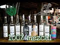 ¿COMO SE HACE EL MEZCAL ARTESANAL? / VISITA A SANTIAGO MATATLAN, OAXACA 🏞🥃💖