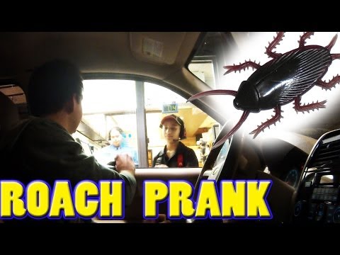 drive-thru-roach-prank!