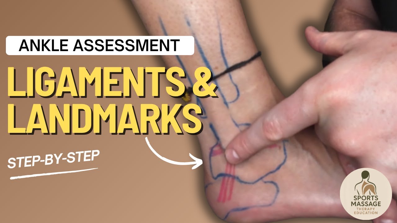 How to Assess the Ankle | Ligaments, Bony Landmarks & Assessment Method