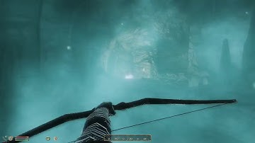 Oblivion w/Bevilex modlist (link in description) 28