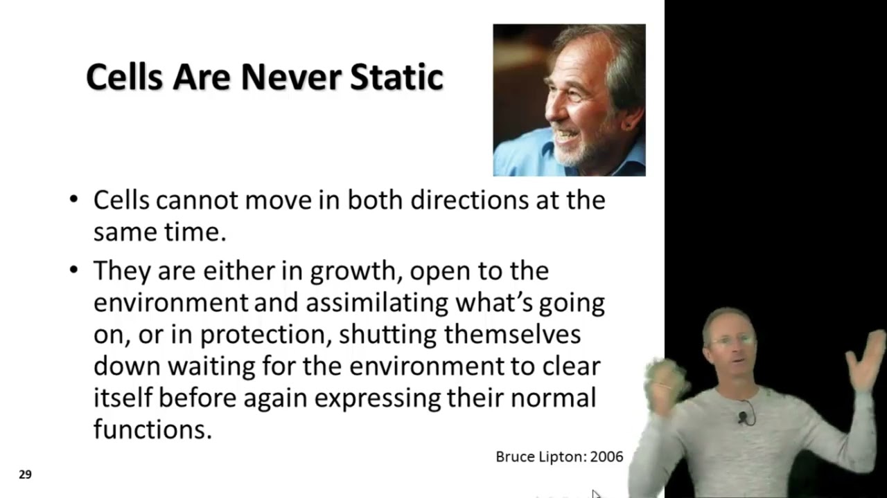 Quantum Chiropractic 04 - Similarity between modern quantum sciences & 33 Principles of Chiropractic