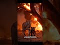 The Lioness Crossing The Burning Savannah