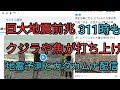 巨大地震危険な兆候。クジラや魚が打ち上げられる。311の前に現れた同じ前兆が起きている。地震予測とカタカムナ配信