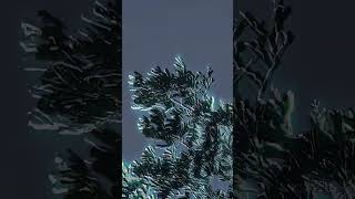Motion Extraction