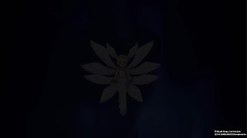 DIGIMON STORY CYBER SLEUTH - Lucemon Digivolve