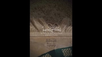 ( هُوَ الَّذِي أَنـزلَ السَّكِينَةَ ) || سورة الفتح ، عبدالرحمن مسعد #قران_كريم
