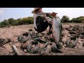 Top Dry Season Find Fish 2020 - Catch Fish From Underground Hole - Best Video 2020