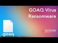 Goaq virus goaq files  ransomware  remove and decrypt fix