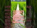 👍 Thamizh Motivational quotes 👍 #motivation