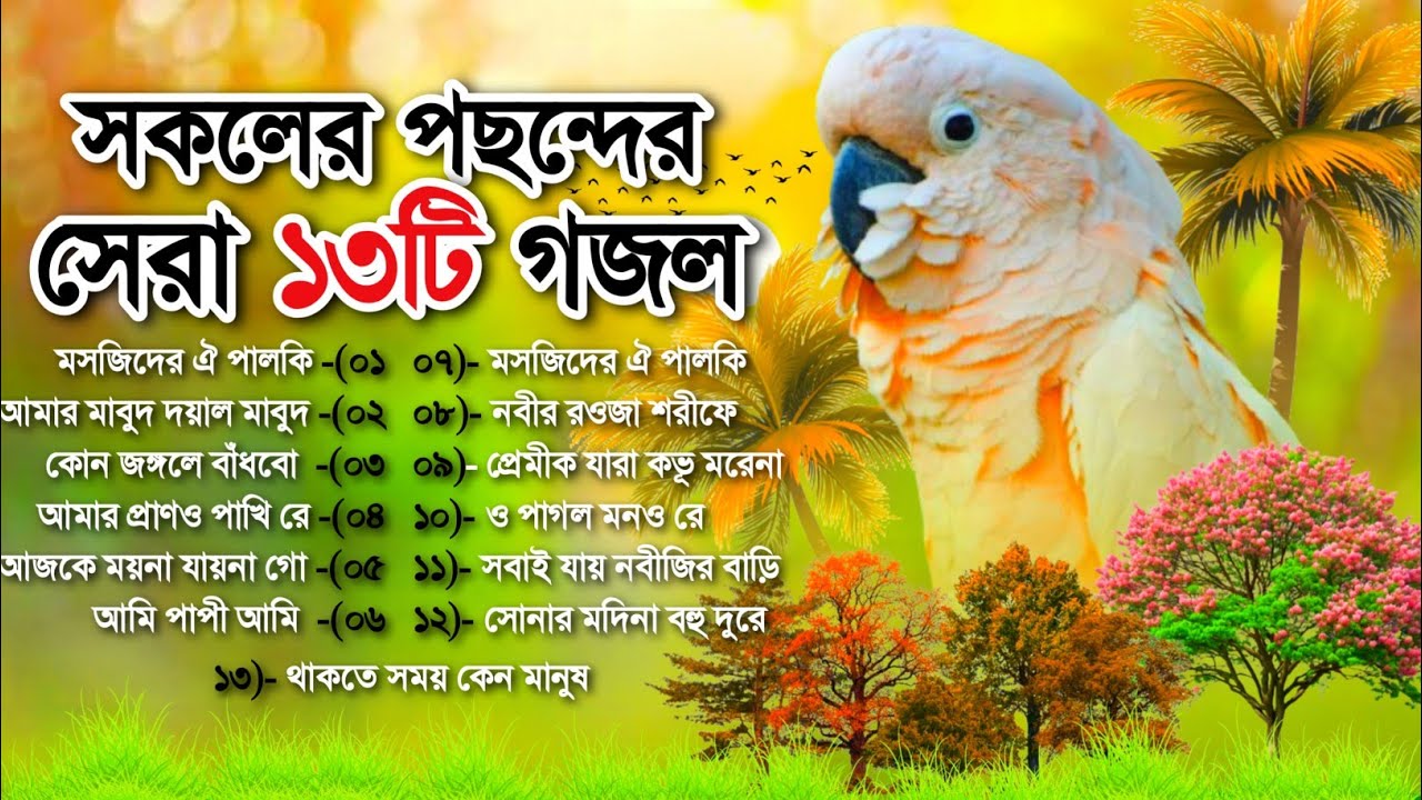 সকলের পছন্দনীয় ১৩টি মন প্রাণ উজাড় করা গজল | new gojol | gojol | bangla gojol | গজল | ghazal