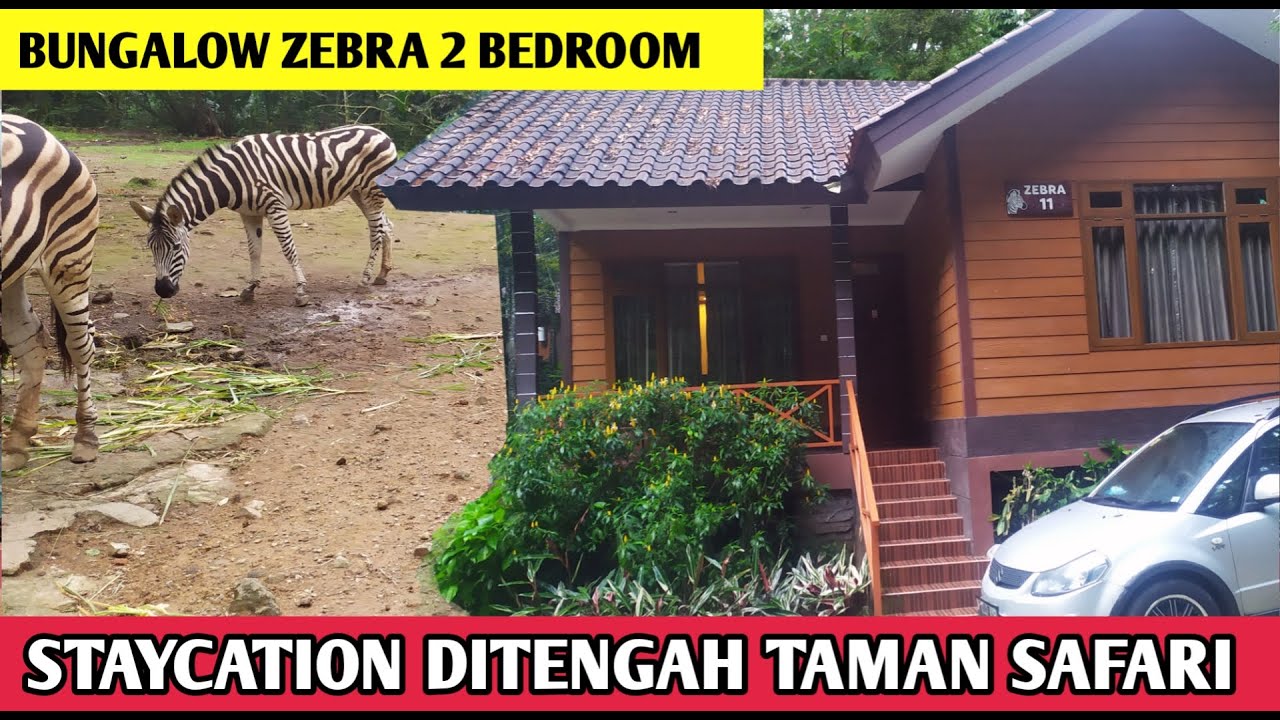 taman safari lodge bungalow zebra