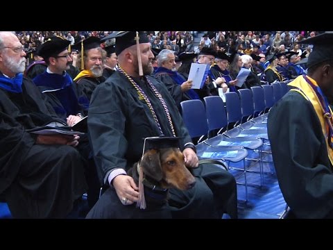 army-veteran-and-service-dog-graduate-college