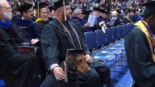 Army Veteran and service dog graduate college