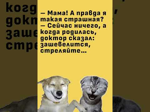 #юмор #смех #смешновидео #шуточное #анекдоты
