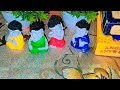 TAROT CARD READING SESSION FREE/PAID/SUPERCHAT # free#live#reading#tarot#angel#yt#lovemsg