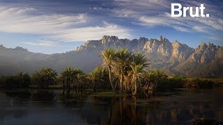 Socotra, l'île extraterrestre