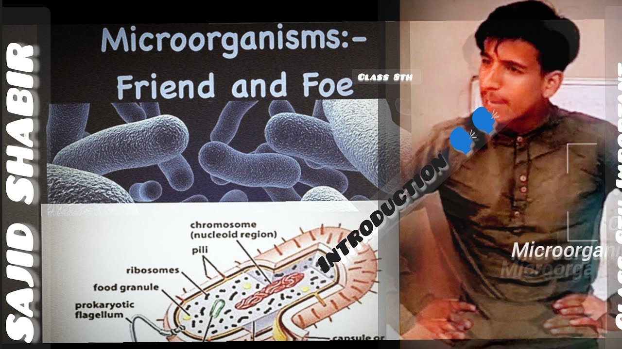 Class 8th Microorganisms Friend and foe Introduction view ☺️👍 - YouTube