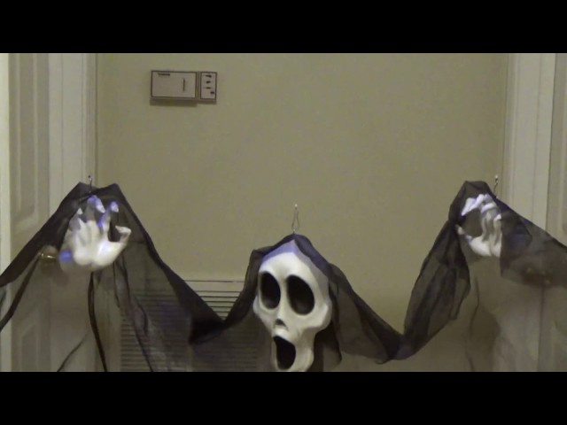 Gemmy Halloween Animated 