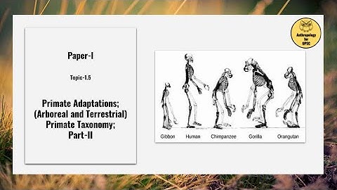 Paper-I, Topic-1.5 Primate Adaptations; (Arboreal and Terrestrial) Primate Taxonomy; Part-II