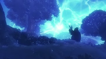 Ori and the blind forest definitive edition (Xbox one X) I
