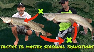 SPRING TO SUMMER MUSKY FISHNG TACTICS! Whiteboard breakdown of shield lake spring and summer areas!