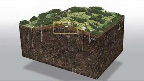 Oil Spill Contamination - 3D