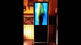 DT-1 ReckTime&DartInfo