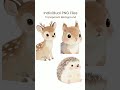 Woodland Baby Animals Clipart Bundle | Watercolor PNG