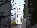 65歳からの手取りを10万増やす逆転の対策