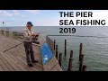 Sea Fishing -The Pier Sept 2019