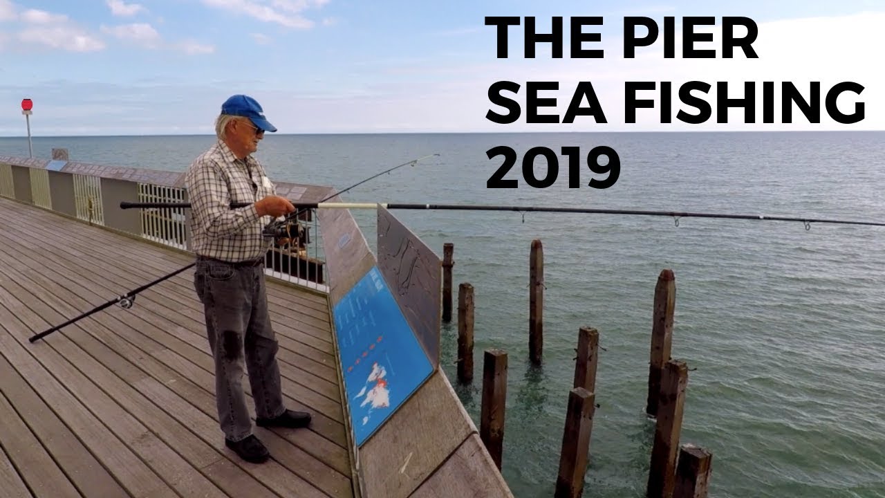 Sea Fishing -The Pier Sept 2019 