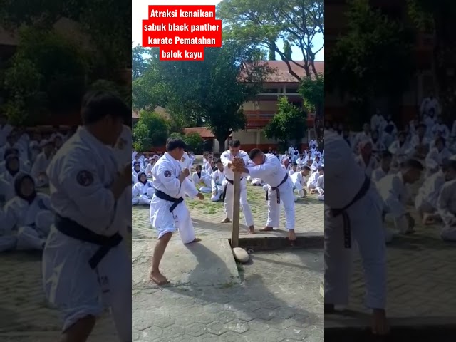 atraksi pematahan balok kayu, black panther karate indonesia timur class=