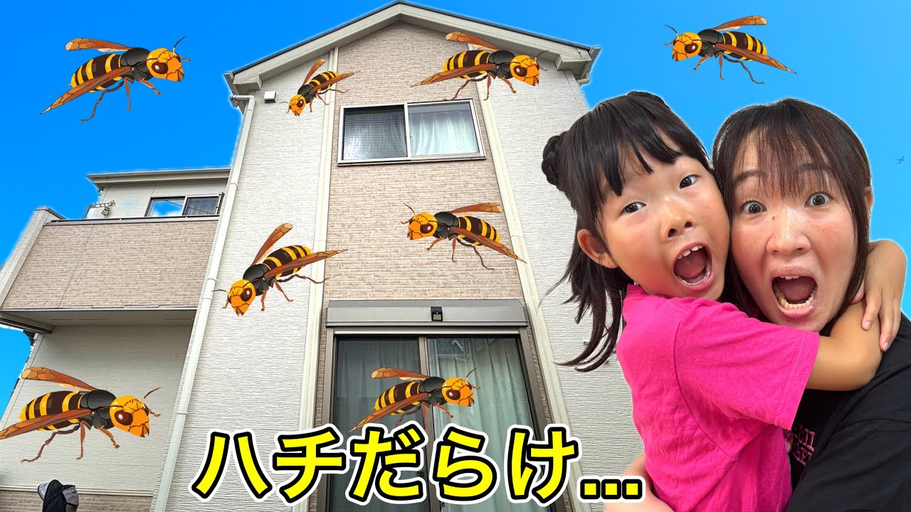 Is this house cursed⁉️ A massive swarm of bees appeared, so I