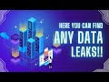 Is Your Data Leaked? 💀 Use These Sites to Find Out!