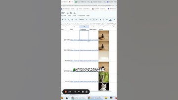 How to List Files or Images From a Google Drive Folder in Google Sheets  #googlesheets #googledrive