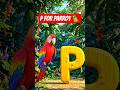 P for Parrot 🦜 | ABC Learning for Kids | Tiny Learner Kids #shorts #shortsfeed #abcd #viral