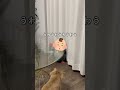 ハナが赤ちゃんに教えたこと