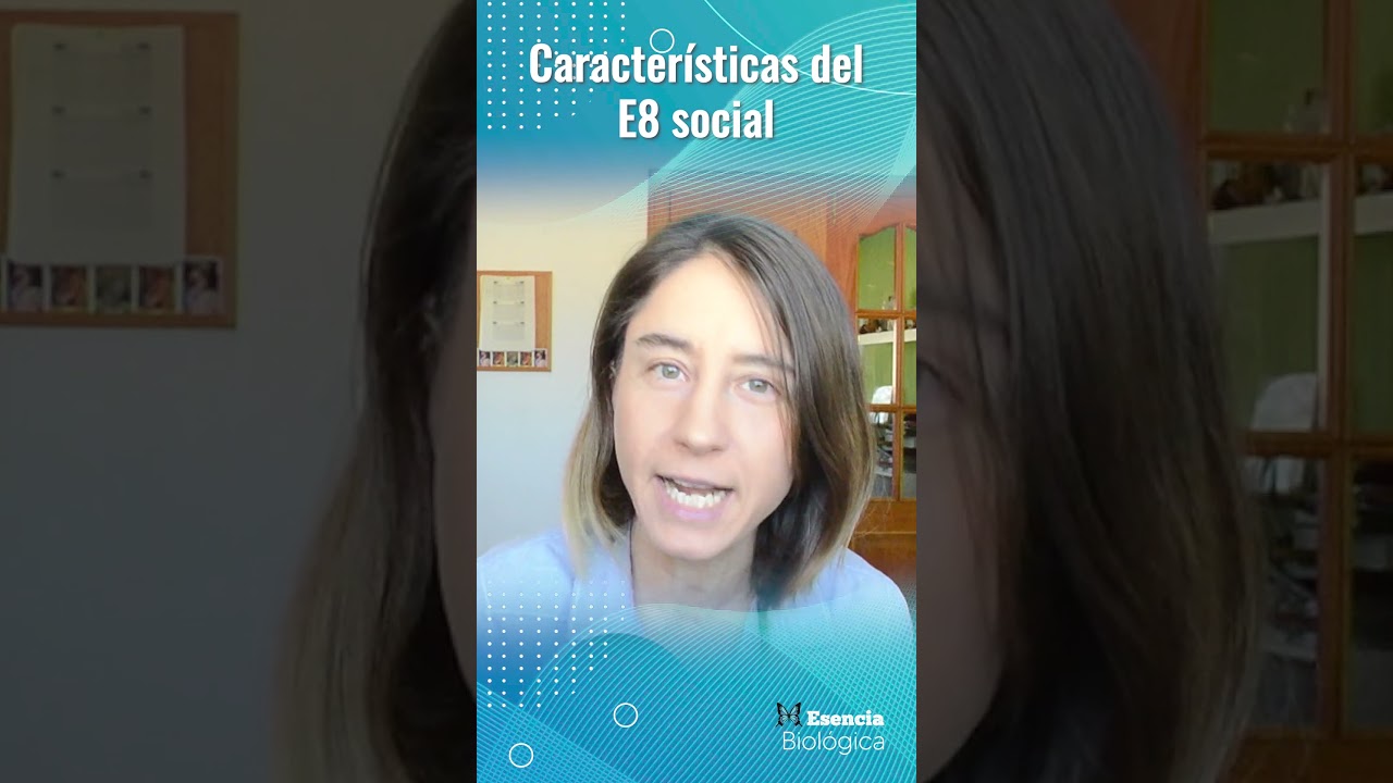 Eneatipo 8 social, características generales