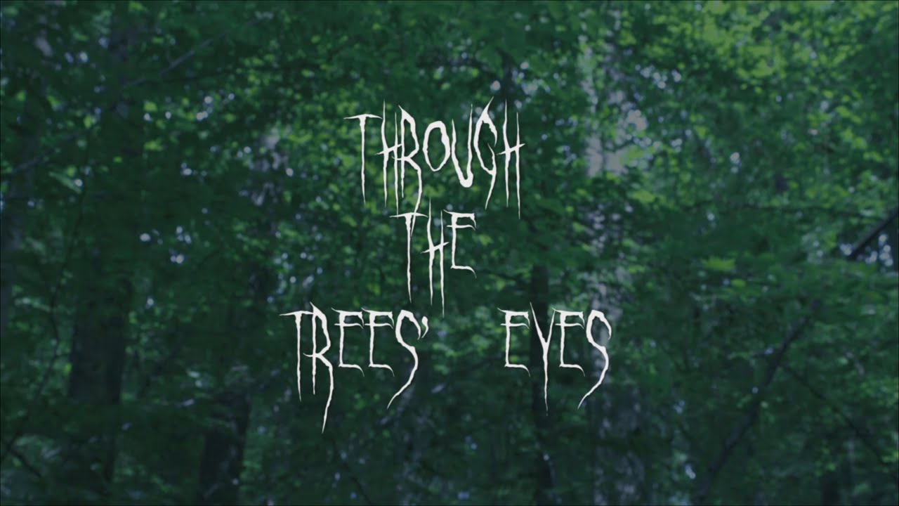 The trees are coming out. Through the trees.