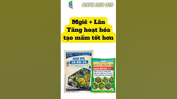 Hiểu về nguyên tố Magie đối với cây trồng #mka